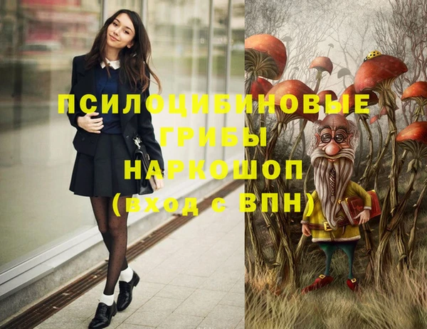 гидропоника Алексеевка