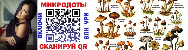 даркнет сайт  Набережные Челны  Галлюциногенные грибы мухоморы 